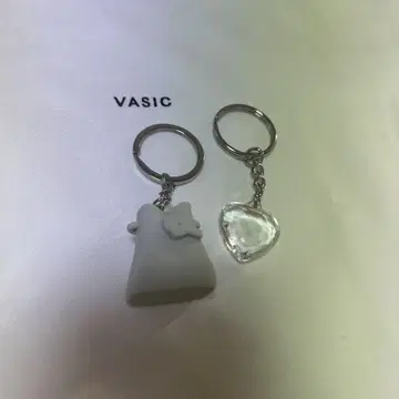 VASIC 키링 세트