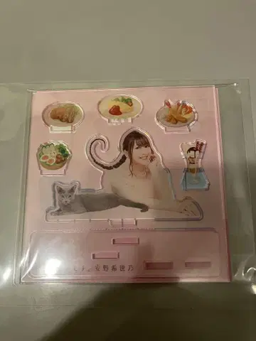 야스노 키요노 오은지 키모치. 특제 아크릴 스탠드