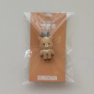 RIIZE 성찬 러버 키링