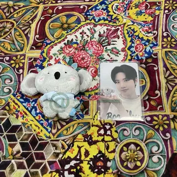 FUNNY TREASURE 준규 DDAYO