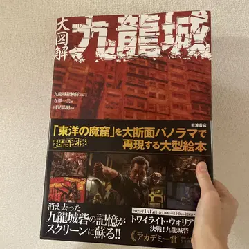 대도해 구룡성
