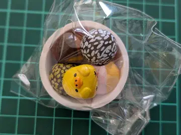 키이로이토리 미스터도넛 콜라보 마그넷