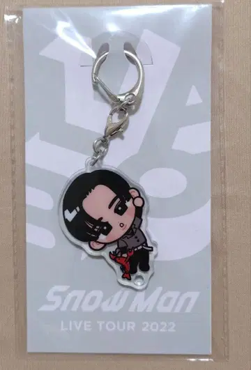 스노우 칠 아크릴 키링 메구로 렌