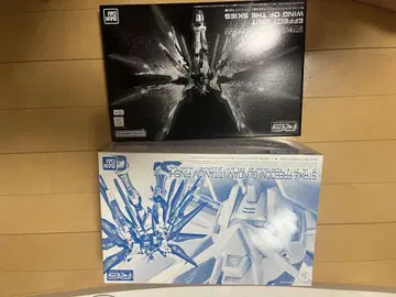 RG 1/144 스트라이크 프리덤 건담 (티타늄 피니쉬) 천공의 날개