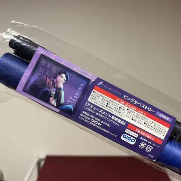 블레이크 마이 케이스 태피스트리 GiGO 한정판 타테시나 리라