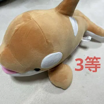 고베 스마 시 월드 범고래 오르카 봉제 인형 한정 컬러