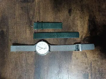 SKAGEN 실버 손목시계 (메쉬 밴딩) 교체용 벨트