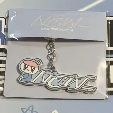 SEVENTEEN NEW_ 모자 꽁지 메탈 마그넷 키링