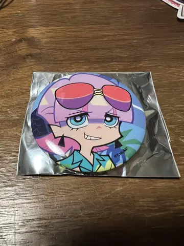 New PANTY & STOCKING FES 캔뱃지 복권 폴리우레탄