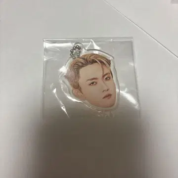 타지마 쇼고 KAO 키링