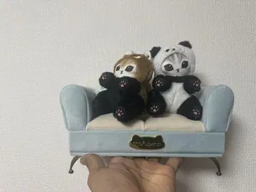 팬더와 브라운 곰 봉제 인형