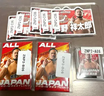 웹폰 전일본 프로레슬링 아시노 쇼타로 선수