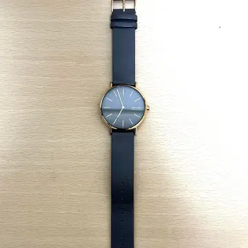 SKAGEN 스카겐 손목시계 서스티나블