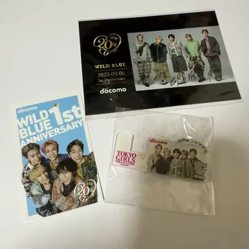 WILDBLUE 아크릴 키링 스티커