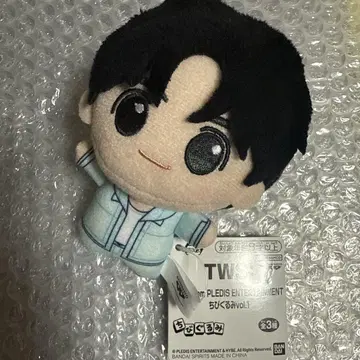 TWS 투어스 치비구루미 HANJIN 한진 남코 한정판