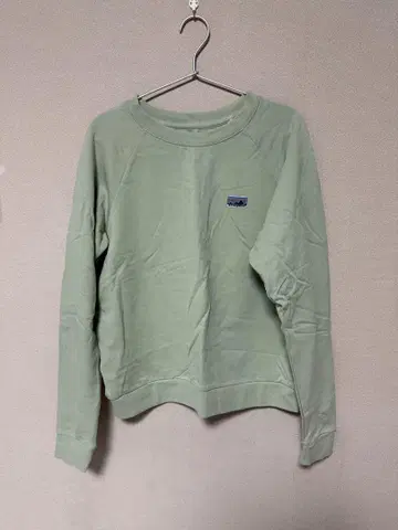 patagonia 라이트 그린 트레이닝복 M