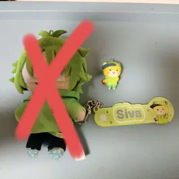 카라피치 시바 씨 묶음 판매