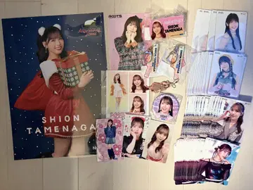 안쥬르므 타메나가 시온 굿즈 세트
