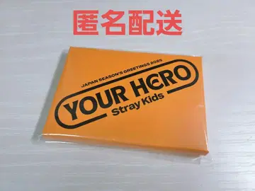 StrayKids YOUR HERO 포토 카드 디페스타 포스카