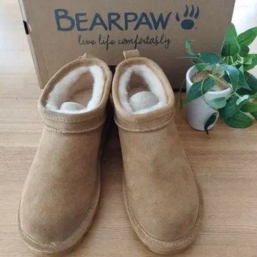 베어파우 Super Shorty 천연 가죽 어그 부츠 24cm 3049W