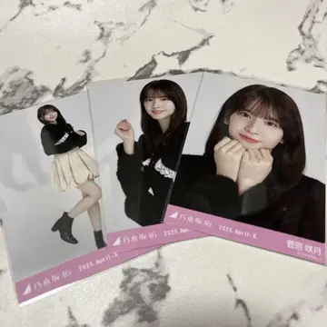 노기자카 사츠키 샤기 앙상블 컴프