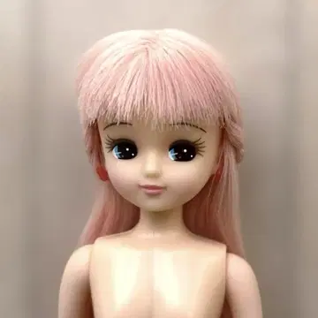 리카짱 인형 본체 핑크 머리