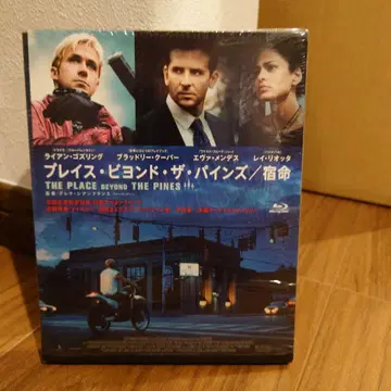 플레이스 비욘드 더 파인즈/숙명('12미국)