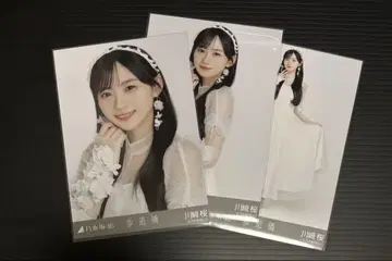 노기자카46 카와사키 사쿠라 보도교
