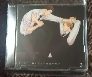 얀다르지 않는 새 3 드라마 CD