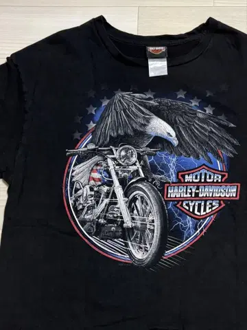 Harley-Davidson 티셔츠 이글 썬더 XL 상당