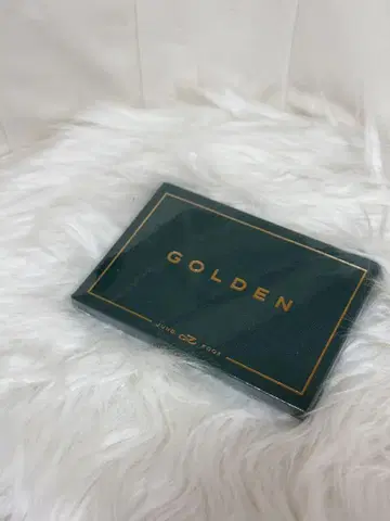 GOLDEN 정국
