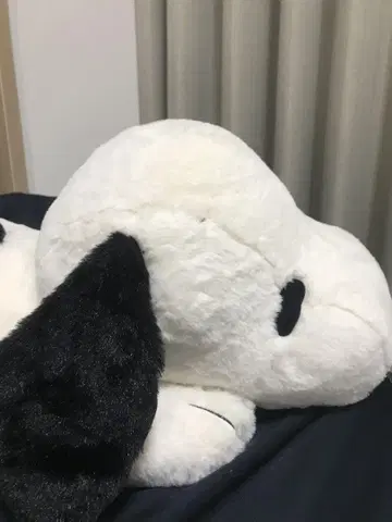 스누피 푹신푹신 봉제 인형