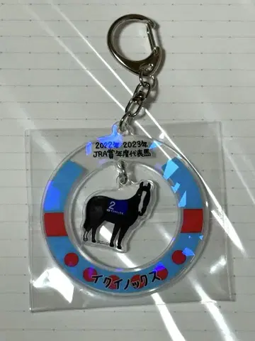 웰컴 찬스 이쿠이노스 키링