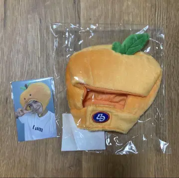 박보검 포레본 햇 orange