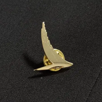 캐세이패시픽항공 CATHAY PACIFIC 핀 배지 골드