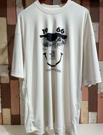 THE NORTH FACE 숏슬리브 티셔츠 XL NT12431