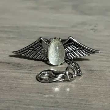 가정교사 히트맨 REBORN 마레 반지 컬렉션 참 백란 대공 1
