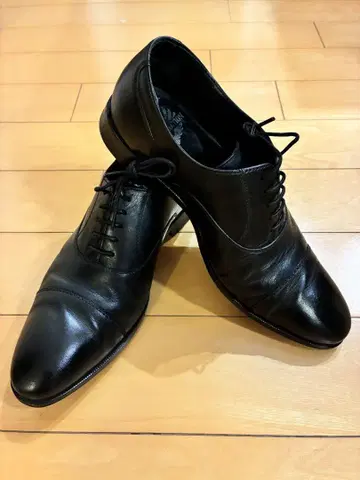마드라스 페리 컬렉션