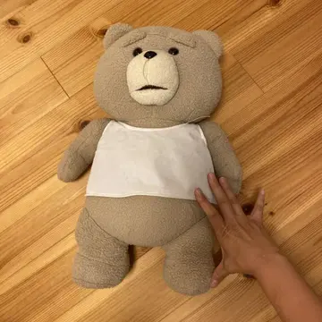 테드 봉제 인형 올풀림 있음