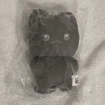 zerobaseone 김지웅 10cm 봉제 인형 카드 포함