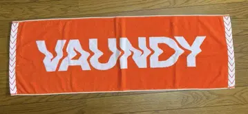 Vaundy 타월 오렌지