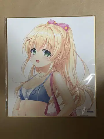 츠무기 벤더스 색지 스피도 복권 VA 여름 페스티벌