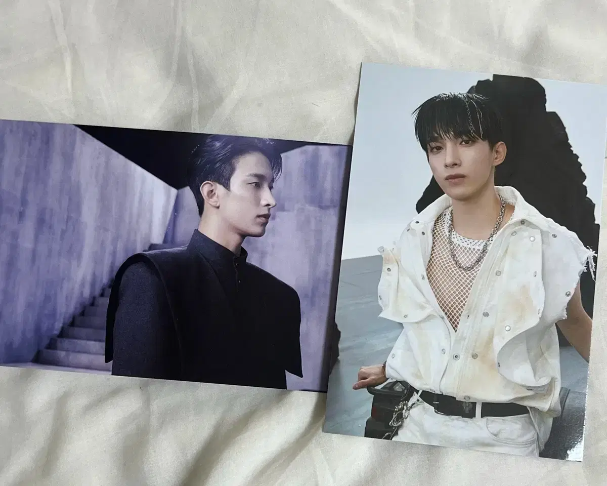 Seventeen dk Feather Sun postcard