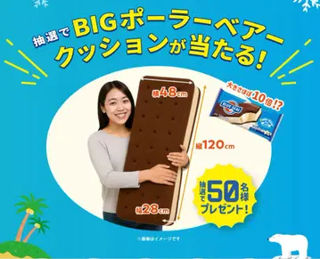 오키나와현민 한정 추첨 블루실 BIG 폴러베어 쿠션