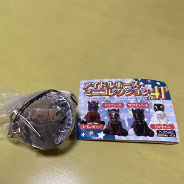 [ G1 도우듀스 ] 아이돌 호스 미니 컬렉션 vol.41