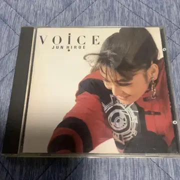 히로에 준 VOICE
