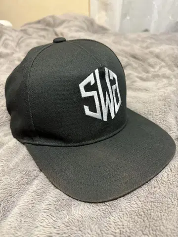 THE SWINGGGR 골프 캡