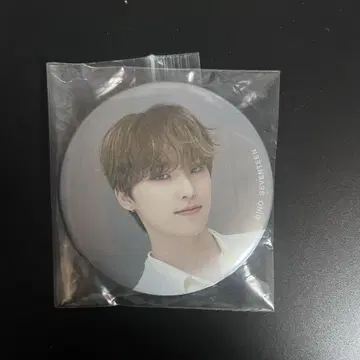SEVENTEEN 디노 캔뱃지