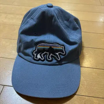 Patagonia 파타고니아 곰 자수 캡 블루