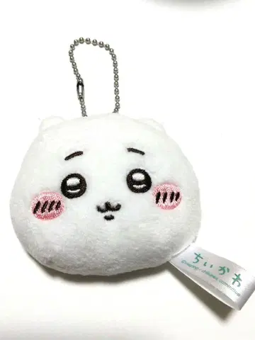 치이카와 페이스 거울